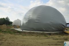 DSC1333