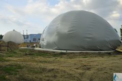 DSC1335