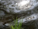 fotokonkurs9