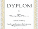 dyplom2