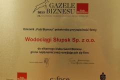gazela_za2013