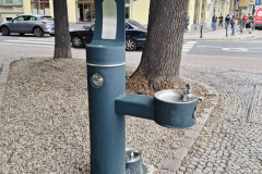 Poidełko w centrum miasta, w tle budynki, informacja turystyczna.