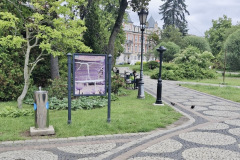 Park, metalowe, srebrne poidełko ogólnodostępne, obok tablica informacyjna, dalej słupek zraszający i stylowa latarnia. W tle drzewa, roślinność i zabytkowe budynki.