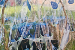 image00006