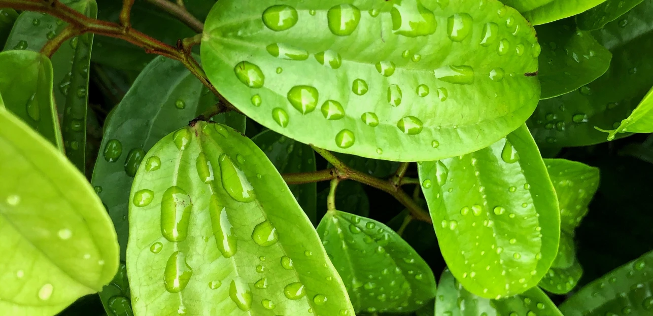 Oferta zatrudnienia na stanowisko: Młodszy operator kierowca samochodów specjalnych i ciężarowych