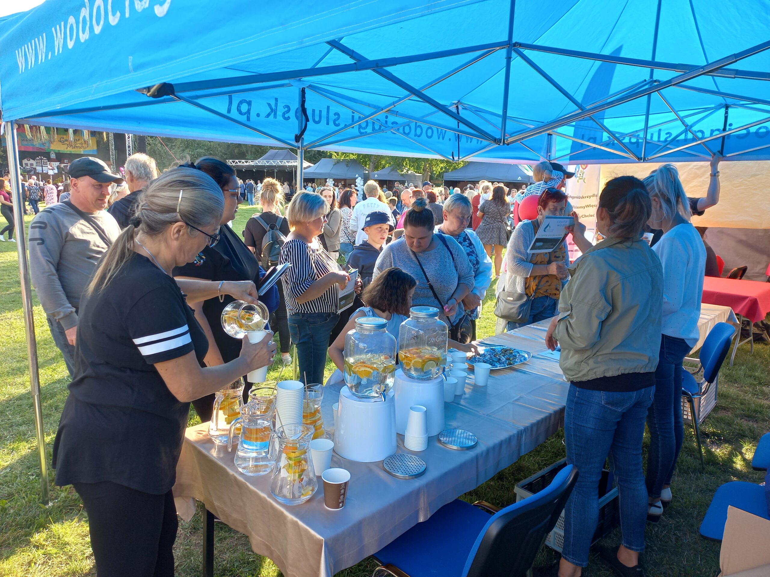 Municipal Harvest Festival in Kobylnica and the International Day of Charity Run with Wodociągi