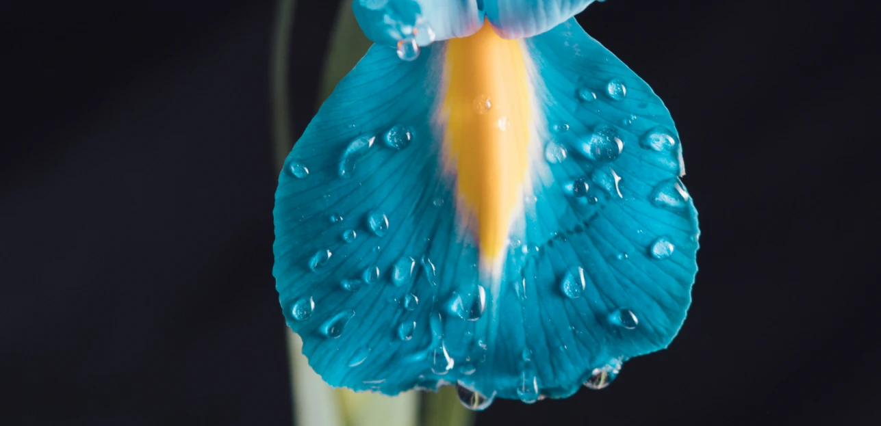 Oferta zatrudnienia na stanowisku: ds. finansowo-księgowych – Konkurs rozstrzygnięty