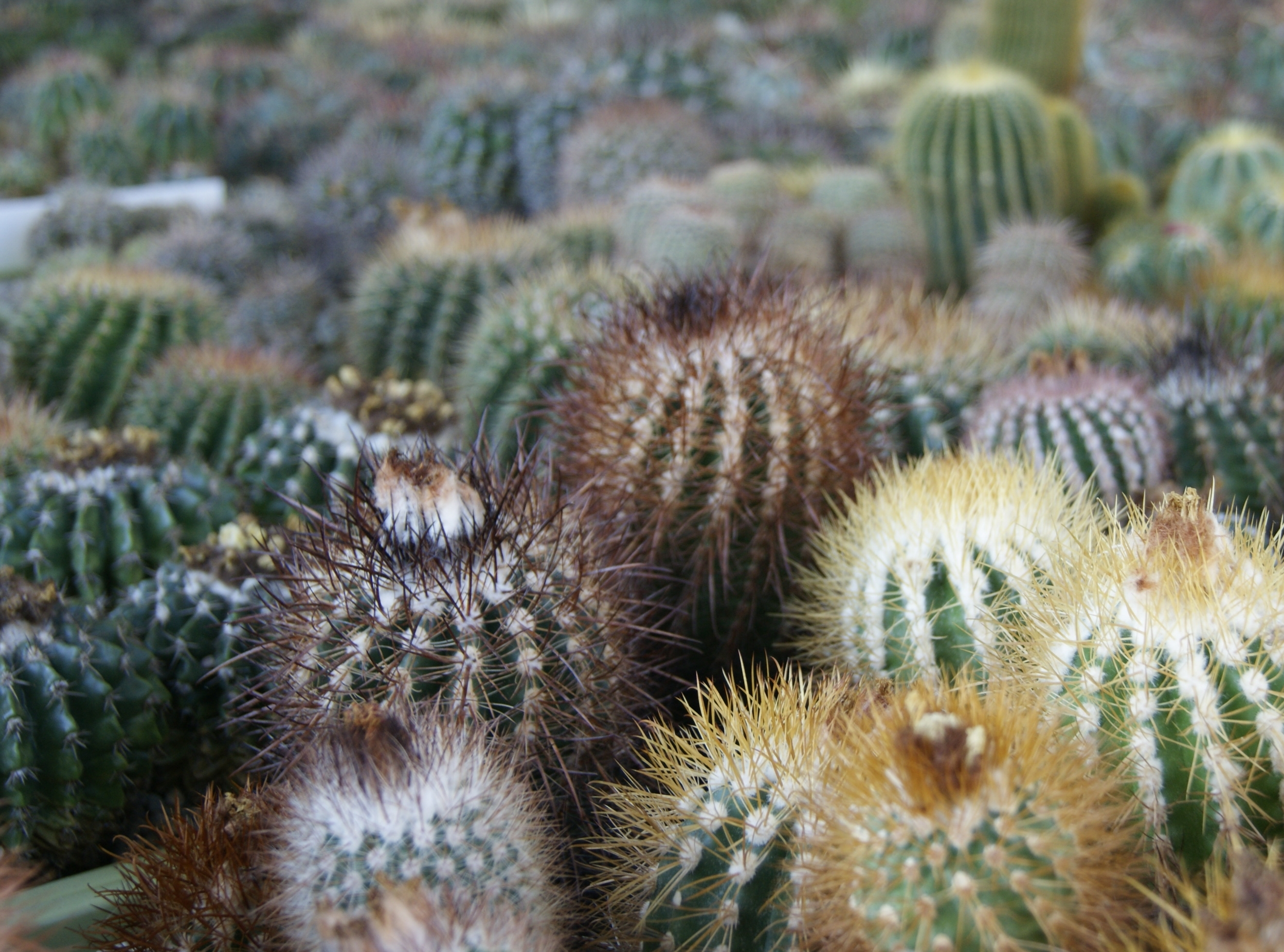 Egzotyczna wystawa w Centrum Edukacji Ekologicznej