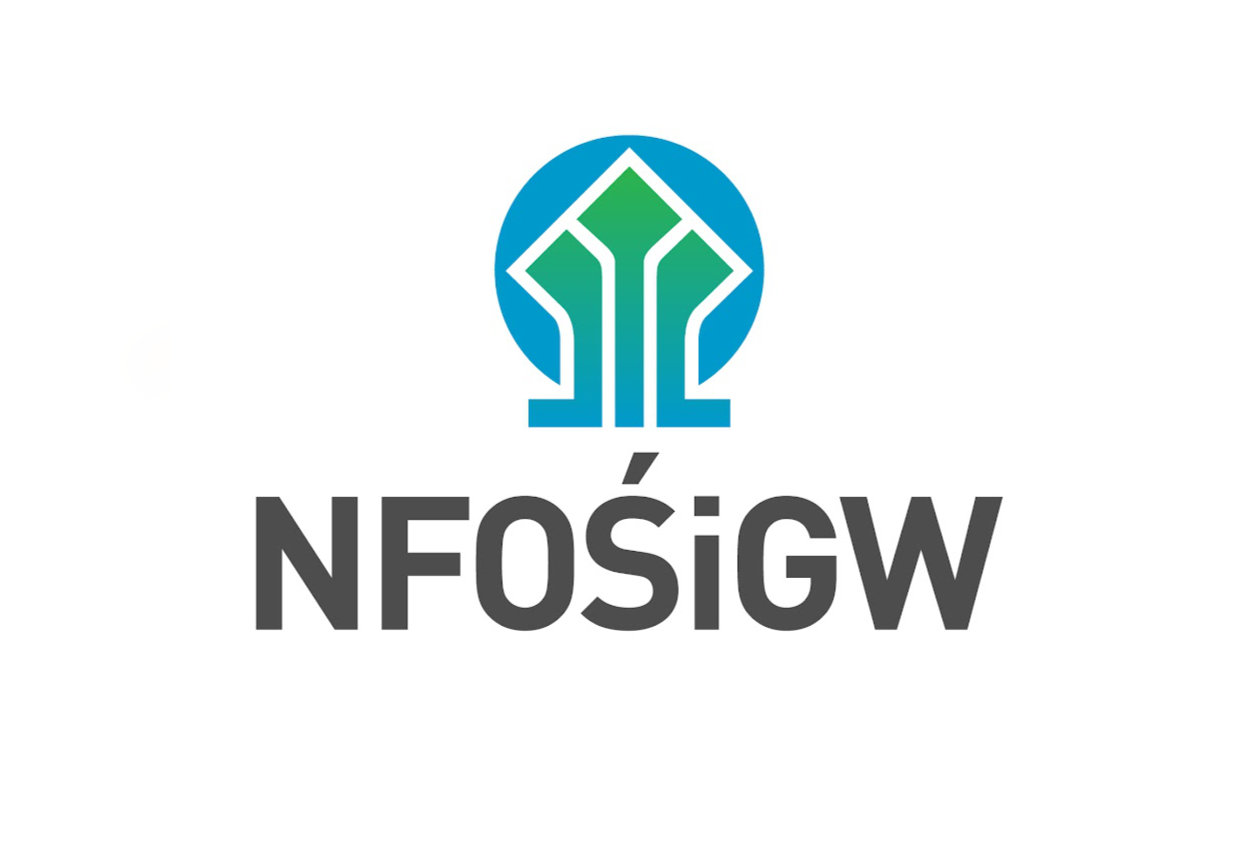 NFOŚiGW – My electric car programme
